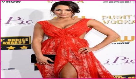 Nikki Bella Body Measurements Bra Size Height Weight Age Shoe Vital Stats