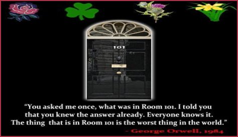 Where does the term Room 101 come from?